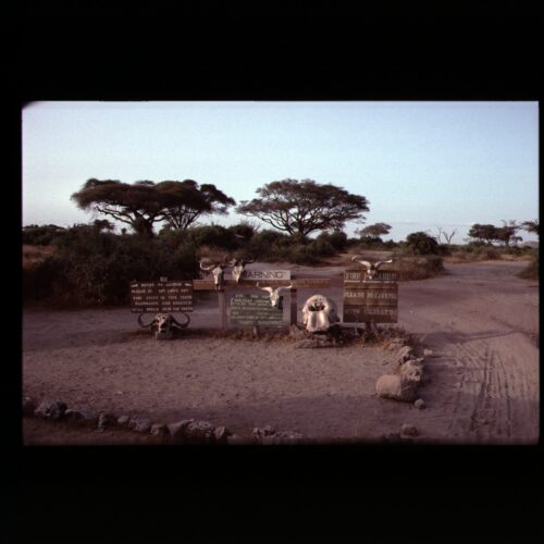 Amboseli NP