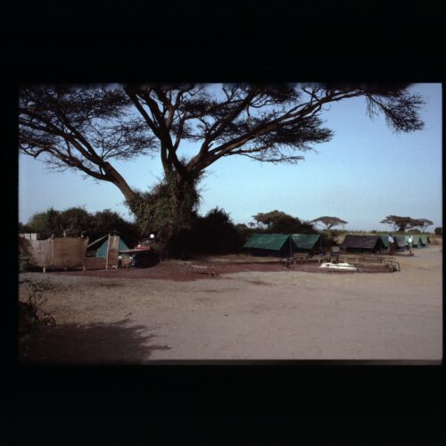 Amboseli NP