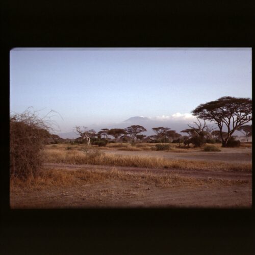 Mount Kilimanjaro from Amboseli NP