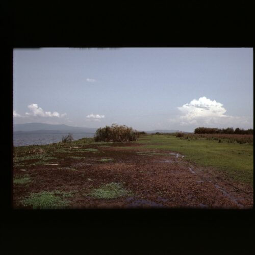 Lake Naivasha