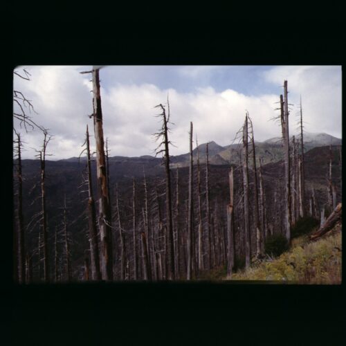 Mount St Helens