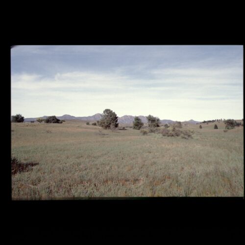 Flinders Ranges NP