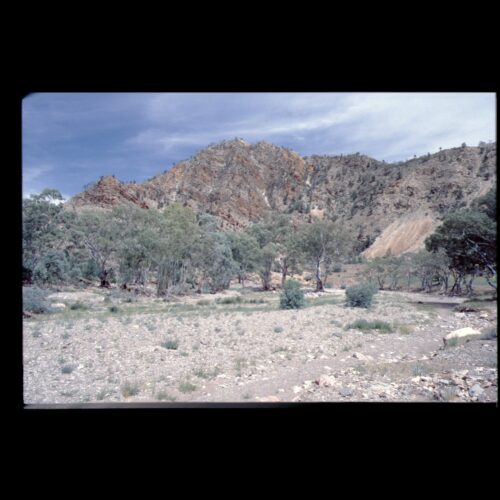 Flinders Ranges NP