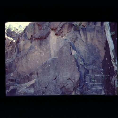 Flinders Ranges NP