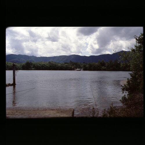 Daintree River