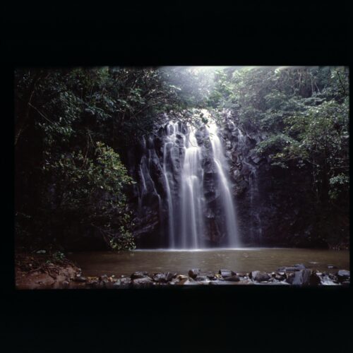 Millaa Millaa Falls