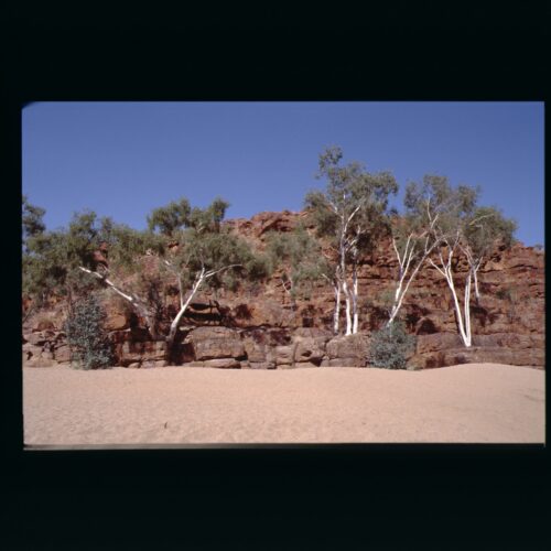 Red Centre, East MacDonnels, Trephina Gorge