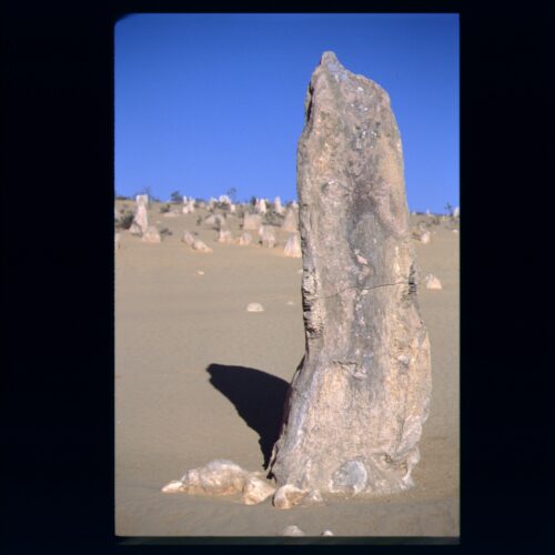 Nambung NP (Pinnacles)