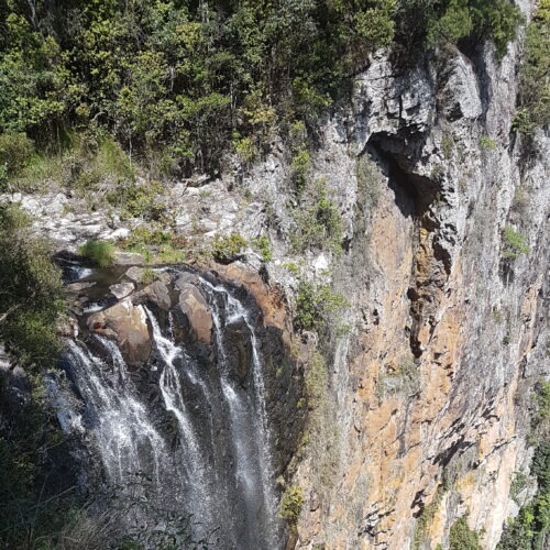 Springbrook NP