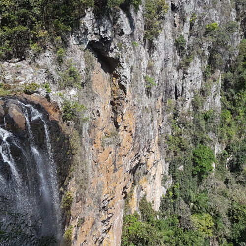 Springbrook NP