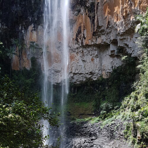 Springbrook NP