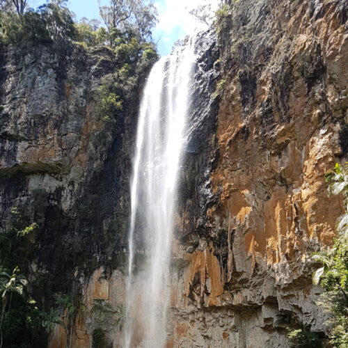 Springbrook NP