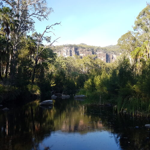 Carnarvon Gorge