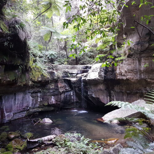 Carnarvon Gorge