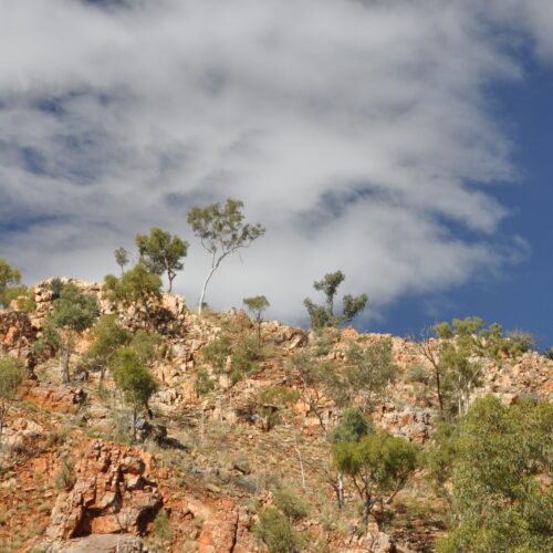 Red Centre, West MacDonnell Ranges