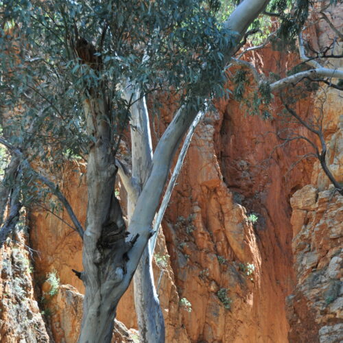 Red Centre, West MacDonnell Ranges, Strandley Chasm