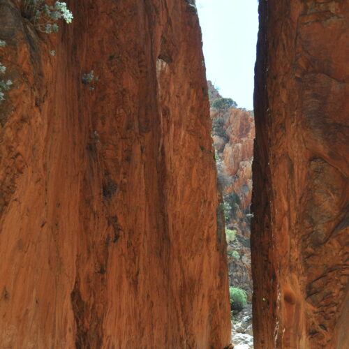 Red Centre, West MacDonnell Ranges, Strandley Chasm