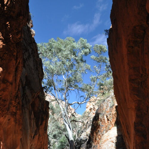 Red Centre, West MacDonnell Ranges, Strandley Chasm