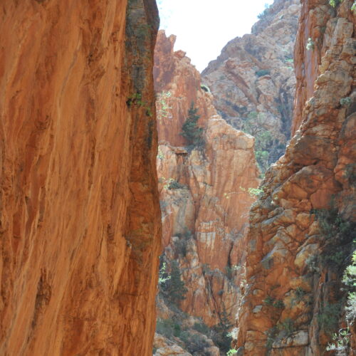 Red Centre, West MacDonnell Ranges, Strandley Chasm