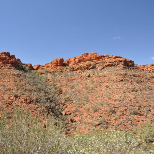 Red Centre, Watarrka (Kings Canyon)