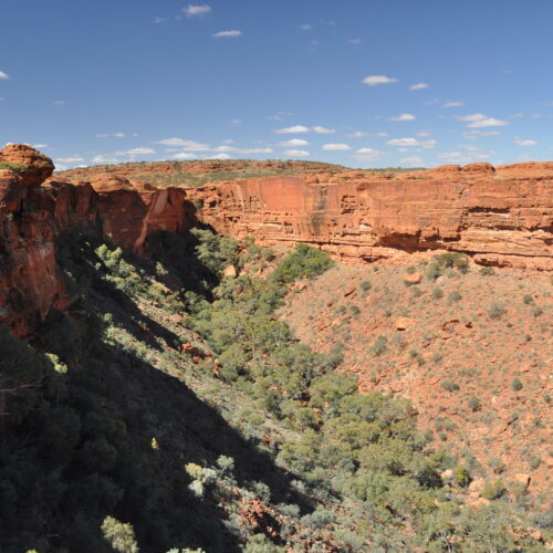 Red Centre, Watarrka (Kings Canyon)