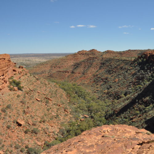 Red Centre, Watarrka (Kings Canyon)