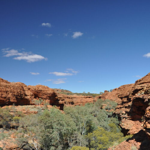 Red Centre, Watarrka (Kings Canyon)