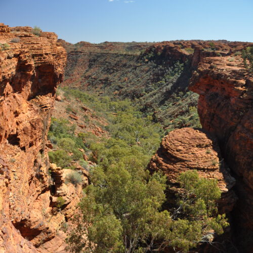 Red Centre, Watarrka (Kings Canyon)