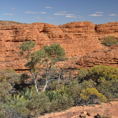 Red Centre, Watarrka (Kings Canyon)