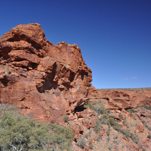 Red Centre, Watarrka (Kings Canyon)