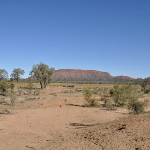 Red Centre, Alice Springs