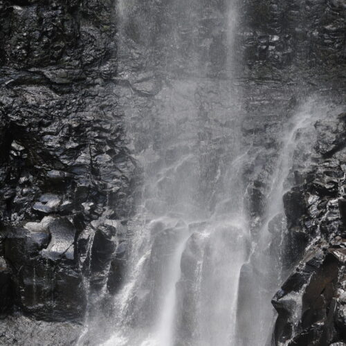 Springbrook NP