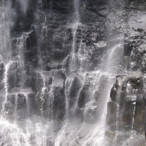 Springbrook NP