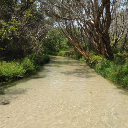 Fraser Island