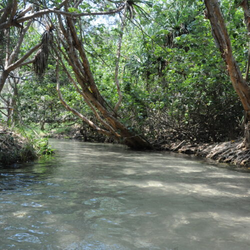 Fraser Island