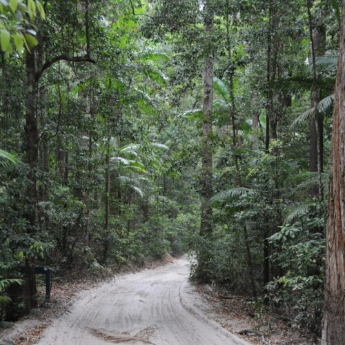 Fraser Island