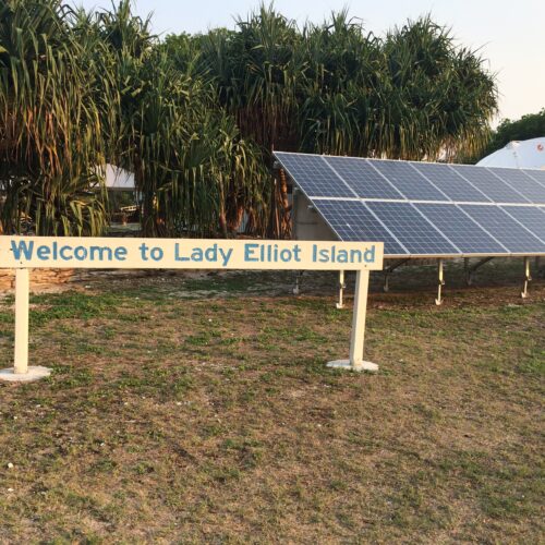 Lady Elliott Island