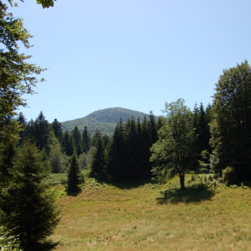 Risnjak NP